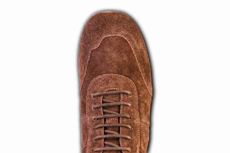 DB1009_Camoscio_T.d.Moro_a.jpg