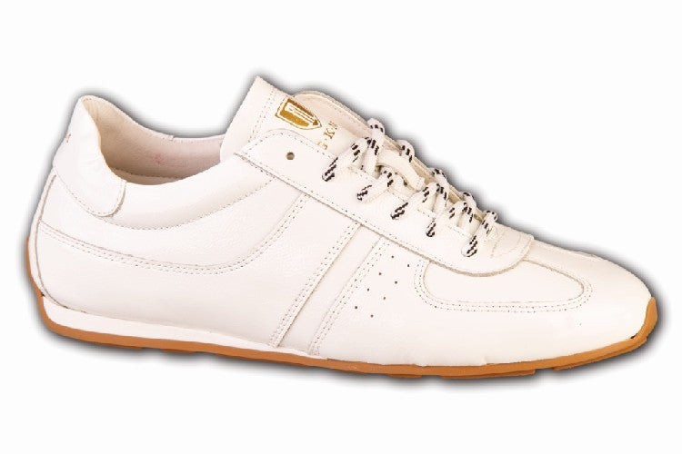 DB1081_Vernice_Bianco.JPG
