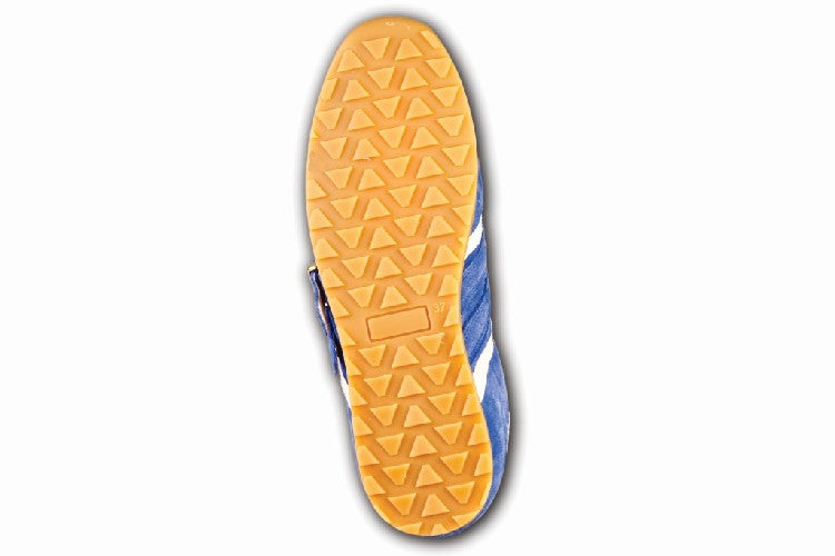 DB1095_Camoscio_Blu_b.jpg