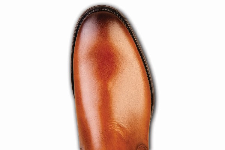 HA6034_Vitello_Brandy_a.jpg