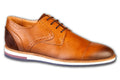 HA6092_VitCam_Cognac.JPG