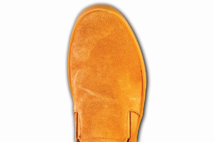 HB0043_Camoscio_Camel_a.jpg